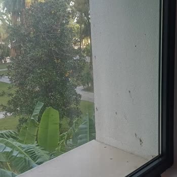 Otelin Kayyum Süreci Ve Hizmet Kalitesizliği Nedeniyle Yaşadığım Mağduriyet