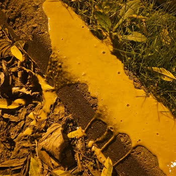 Son Kullanma Tarihi Geçmemiş Kahvede Bozulma Ve Acı Tat Sorunu