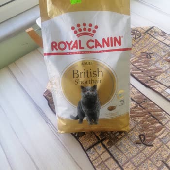 Küflü Mama Nedeniyle Kedimin Hayatını Kaybetmesi Ve İlgisiz Satıcı