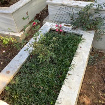 İstanbul Büyükşehir Belediyesi Mezarlıkta Güvenlik Zafiyeti Ve Maddi Kayıp Mağduriyeti