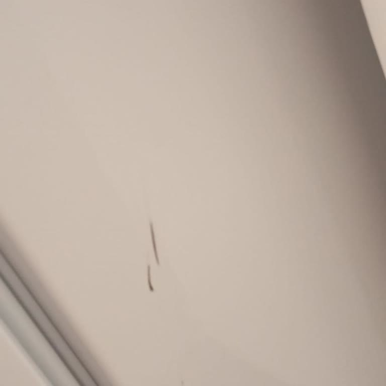 Servis Sonrası Buzdolabında Oluşan Hasarların Giderilmemesi Ve Tekrarlayan Mağduriyet