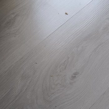 Yeni Alınan Robot Süpürgede Çözülmeyen Sorun Ve Yetersiz Servis Deneyimi