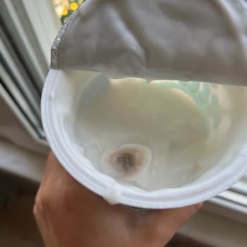 Taze Yoğurtta Küf Şoku Ve Cevapsız Kalan Şikayet