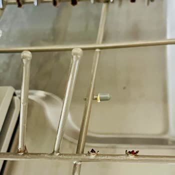 Bulaşık Makinesi Sepeti Telleri Sürekli Kırılıyor Ve Paslanıyor, Mağduriyet Yaşıyorum