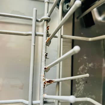 Bulaşık Makinesi Sepeti Telleri Sürekli Kırılıyor Ve Paslanıyor, Mağduriyet Yaşıyorum