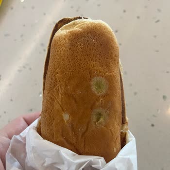 Burger King'de Küflü Ekmekle Karşılaştım: Sağlık Riski Ve Mağduriyet