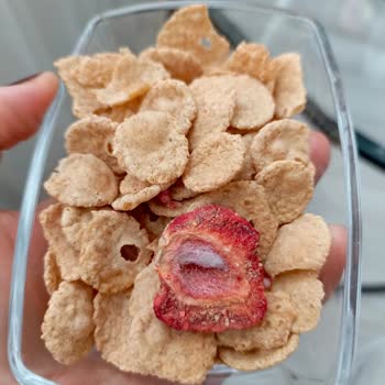 Taze Olması Gereken Gevrekten Küflü Çilekler Çıktı, Sağlığım Tehlikeye Girdi