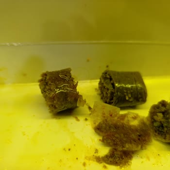 Baklavadan Kıl Çıktı, Hijyen Ve İletişim Sorunu Yaşadım