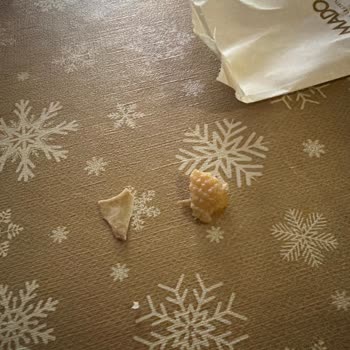 Mado Ümraniye'den Gelen Hijyen Ve Kalite Şoku