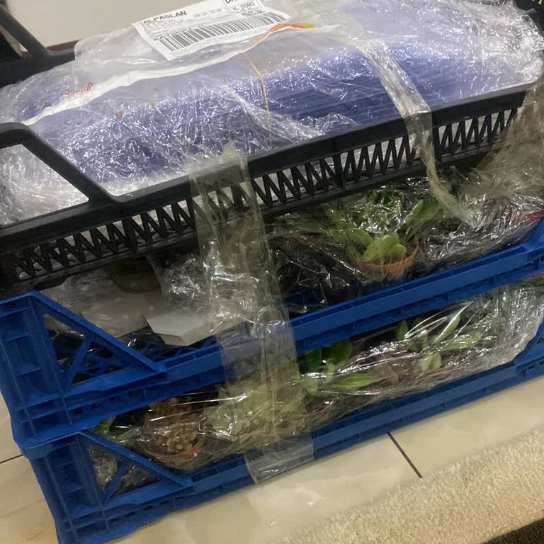 İvgen Çiçekçilik Nişanım İçin Aldığım Saksılar Eksik Ve Kırık Geldi, Mağdur Edildim