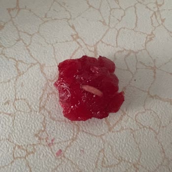 Dondurulmuş Meyve Kutusunda Kurt Çıkması Ve Sağlık Endişesi