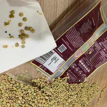 Aldığım Yeşil Mercimekte Böcek Çıktı, Sağlığımız Tehlikede