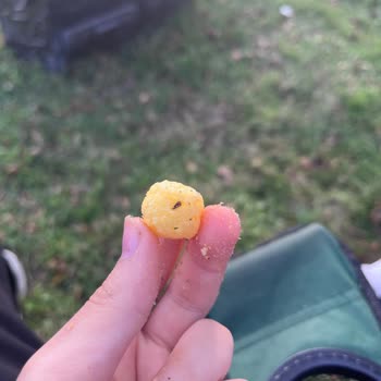 Aldığım Cipsin İçinden Taş Çıktı Sağlığım Tehlikeye Girdi