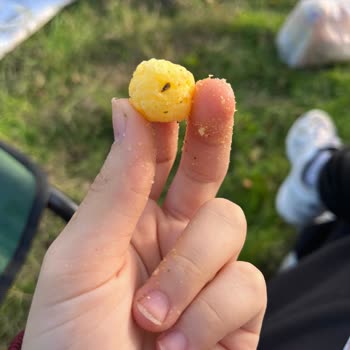 Aldığım Cipsin İçinden Taş Çıktı Sağlığım Tehlikeye Girdi