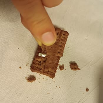 Bisküvi İçinden Yabancı Cisim Çıkması Sağlığımı Tehdit Etti