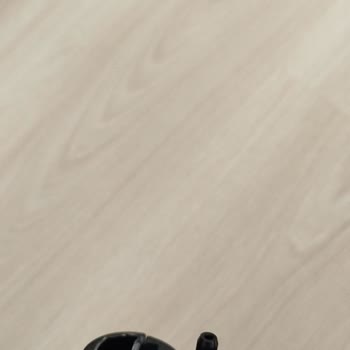 Bissell Auto Spotclean Pro Bağlantı Noktası Üçüncü Kullanımda Kırıldı