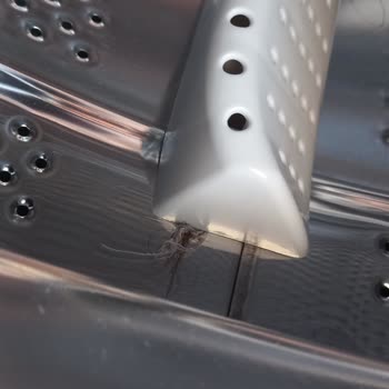 Vestel Çamaşır Makinesinde Sürekli Kıl Ve Tüy Sıkışması Sorunu, Servisten Çözüm Alınamıyor