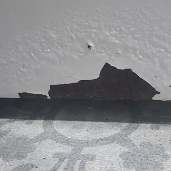 Bosch Çamaşır Makinesinde Kronik Çürüme Ve Boya Atması Sorunu