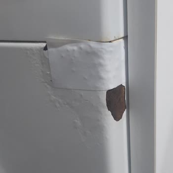 Bosch Çamaşır Makinesinde Kronik Çürüme Ve Boya Atması Sorunu