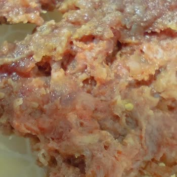 Aldığım Kasap Köfte Kötü Kokuyordu İçinde Kıkırdak Benzeri Maddeler Çıktı