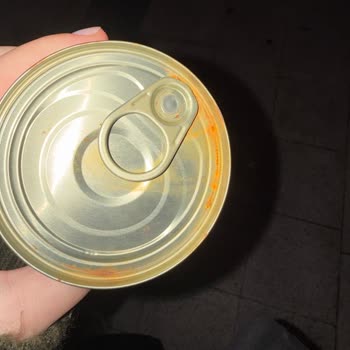 Paslı Konserve Ve Saygısız Hizmet: Müşteri Ve Hayvan Sağlığını Tehdit Eden Petshop Deneyimi