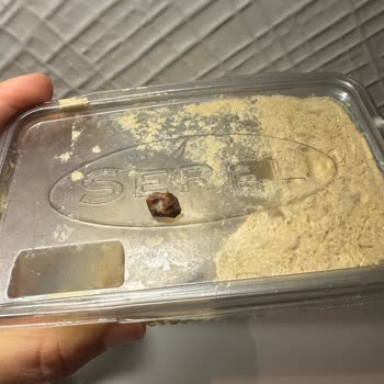 Aldığım Helvanın İçinden Taş Çıktı, Sağlığım Tehlikeye Girdi