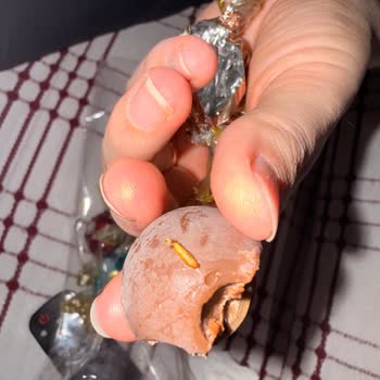 Hediye Çikolatadan Kurt Çıkması Ve Müşteri Hizmetlerine Ulaşılamaması Şok Etti