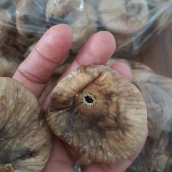 Doğal File Aldığım Ürünler Bozuk Çıktı, Firma Dönüş Yapmıyor!