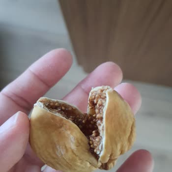 Doğal File Aldığım Ürünler Bozuk Çıktı, Firma Dönüş Yapmıyor!