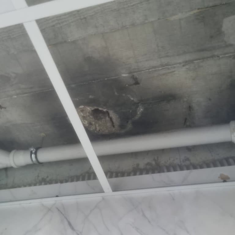 Zurich Sigorta Konut Poliçemdeki Su Sızıntısı Sorununa 2 Aydır Çözüm Sunulmuyor