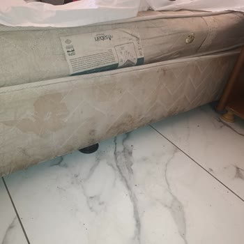 Alanya Dreams Apart Hotel Kötü Hijyen Ve Hakaretle Karşılaştığımız Konaklama Deneyimi