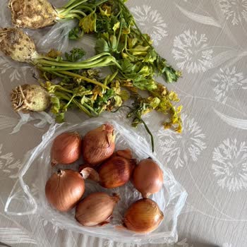 Siparişteki Hatalı Ürün Ve İlgisiz Müşteri Hizmetleri