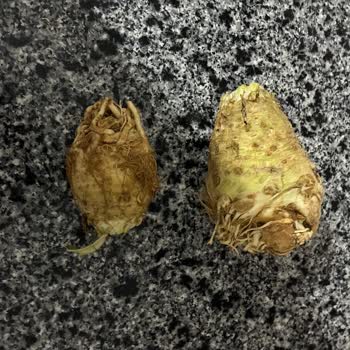 Siparişteki Hatalı Ürün Ve İlgisiz Müşteri Hizmetleri