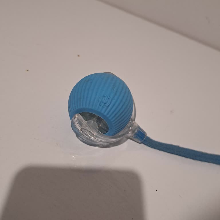 Kısa Sürede Bozulan Evcil Hayvan Oyuncağı Hayal Kırıklığı Yarattı