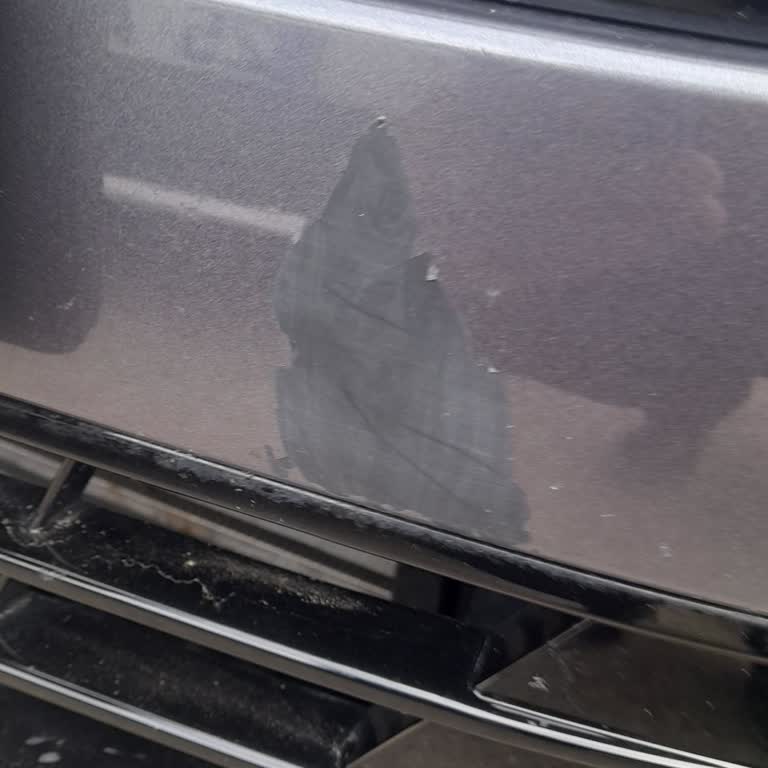 10 Aylık Sıfır Araçta Boya Atması Ve Garanti Kapsamı Sorunu