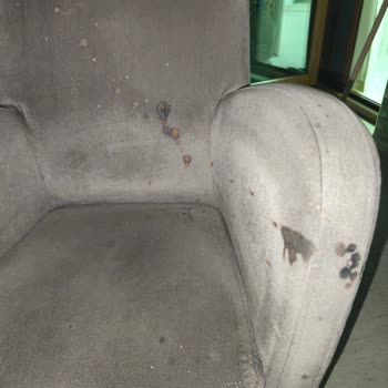 WC Açıcı Kullandım Kimyasal Yanıklar Ve Ciddi Maddi Zararlar Yaşadım