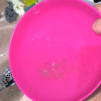 Dondurulmuş Karideste Temizlenmemiş Organlarla Karşılaştım