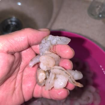 Dondurulmuş Karideste Temizlenmemiş Organlarla Karşılaştım