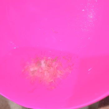 Dondurulmuş Karideste Temizlenmemiş Organlarla Karşılaştım