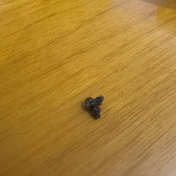 Cafe Crown Nut Latte Ürününde Yabancı Cisimle Karşılaştım Ve Sağlığım İçin Endişelendim