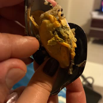 Midye Dolmaların Bayat Ve Hijyen Sorunlu Olması