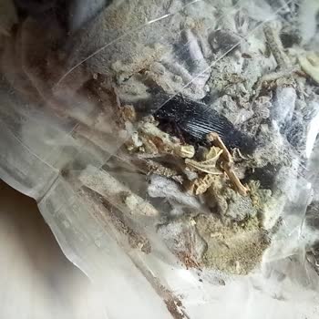 Si&Ha Ürün İçerisinden Çıkan Yabancı Madde