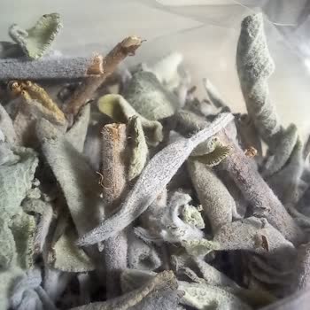 Si&Ha Ürün İçerisinden Çıkan Yabancı Madde