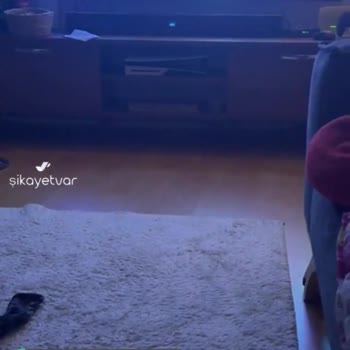 LG Oled Modül Sorunu
