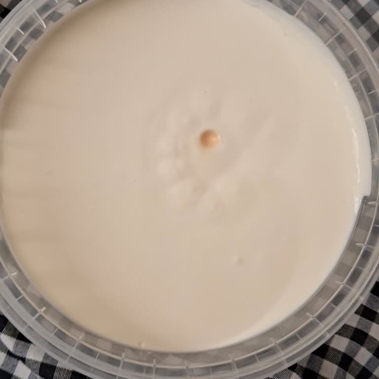 Aldığım Kaymakta Yabancı Madde Ve Kolay Açılan Kapak Endişesi