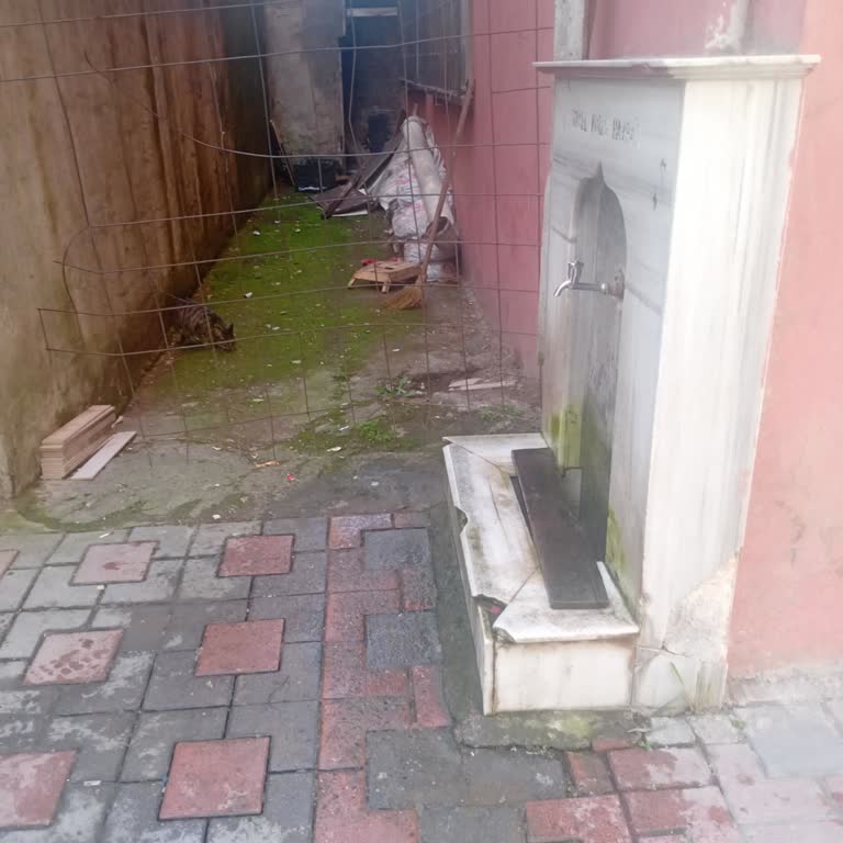 Ünye'de Çeşme Hijyen Sorunları ve Belediye Talebi