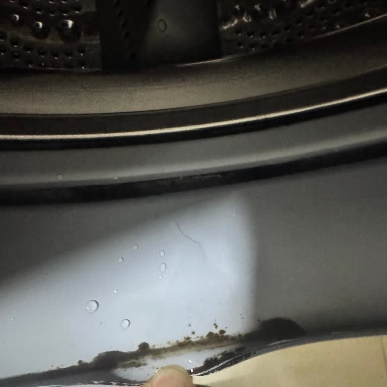 Bosch Çamaşır Makinesi Kapak Lastiğinde Sürekli Küflenme Sorunu