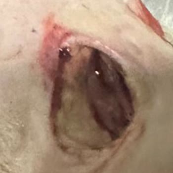 Empati Veteriner Kliniği (Tuzla) İlgisizlik Ve Kötü Muamele Nedeniyle Maddi Ve Manevi Zarar