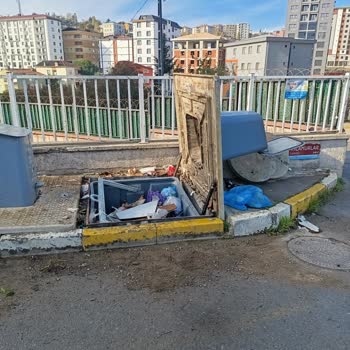 Çöp Konteynerlerinin Açık Bırakılması Nedeniyle Koku Ve Sağlık Sorunu