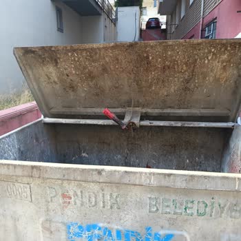 Çöp Konteynerlerinin Açık Bırakılması Nedeniyle Koku Ve Sağlık Sorunu